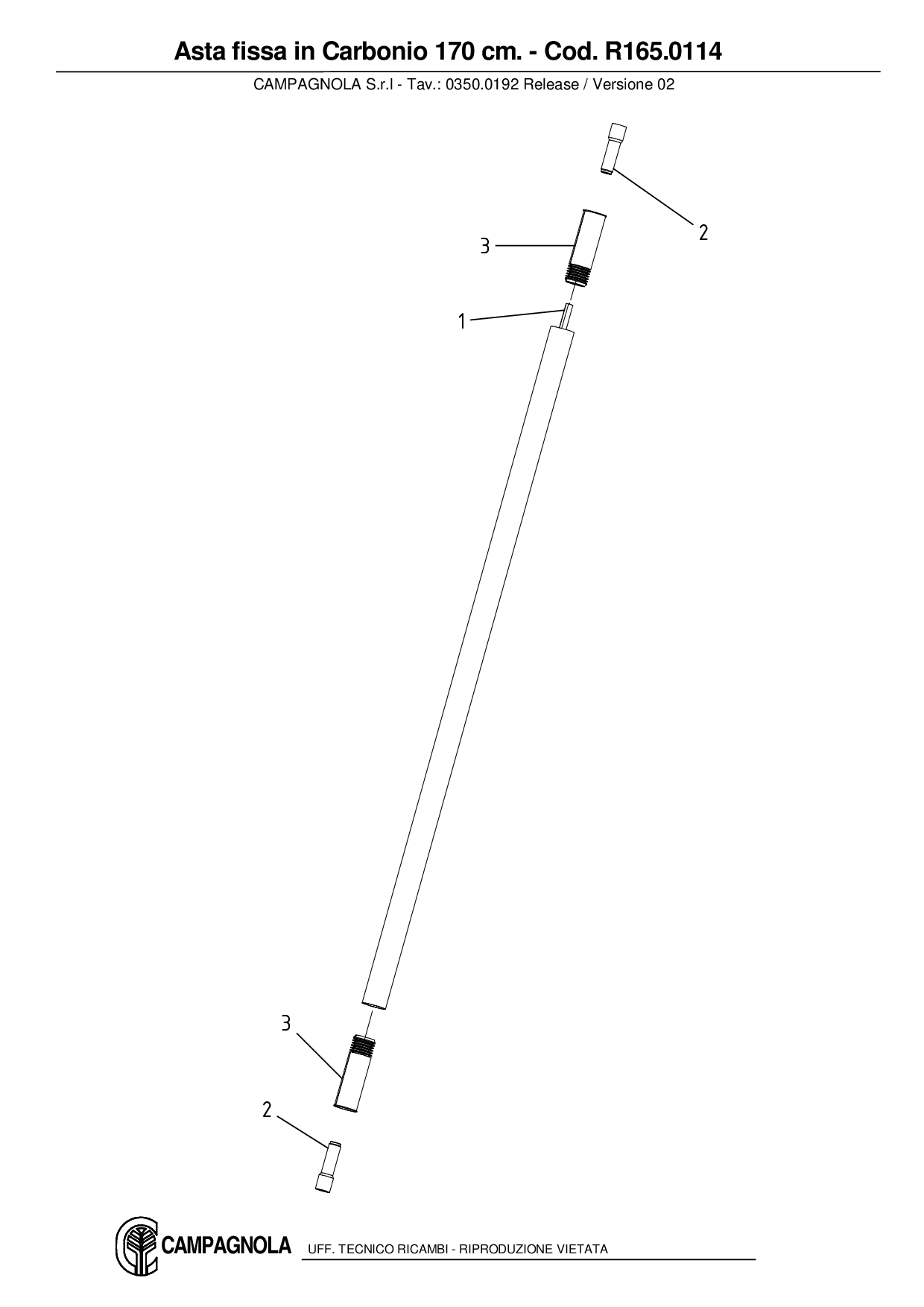 R165.0114_Asta fissa in Carbonio 170 cm.